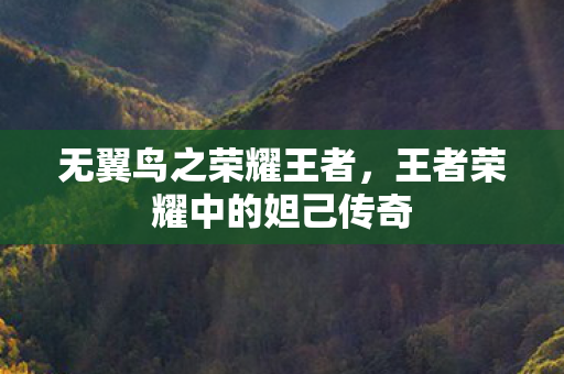 王者荣耀中的妲己传奇图片