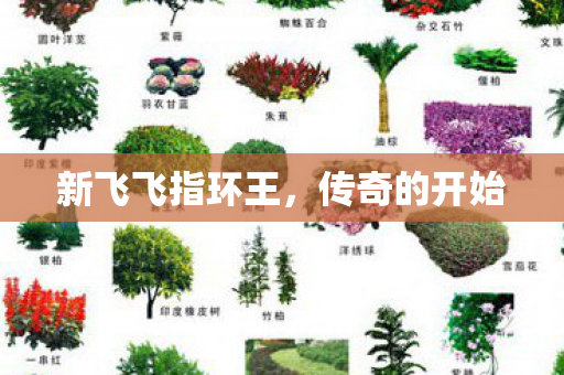 新飞飞指环王图片