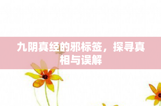 九阴真经的邪标签图片