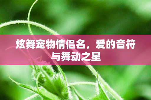 爱的音符与舞动之星图片