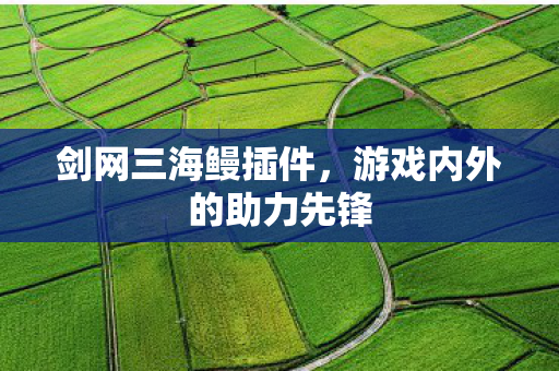 游戏内外的助力先锋图片