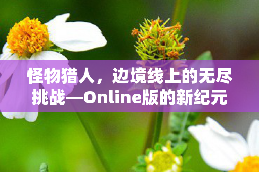 Online版的新纪元图片