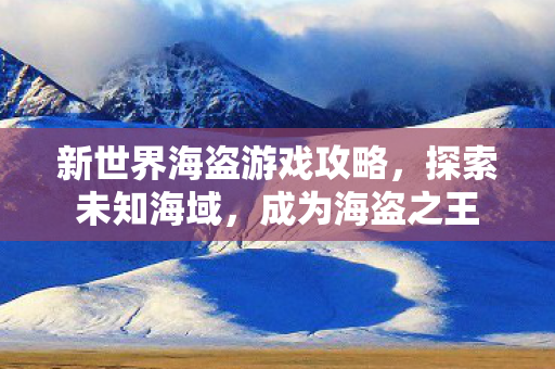 新世界海盗游戏攻略图片