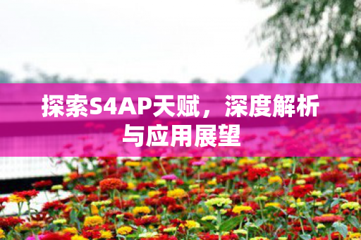 深度解析与应用展望图片