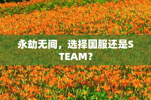 选择国服还是STEAM图片