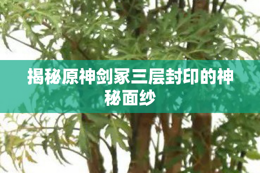 揭秘原神剑冢三层封印的神秘面纱图片
