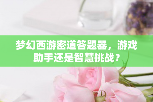 游戏助手还是智慧挑战图片