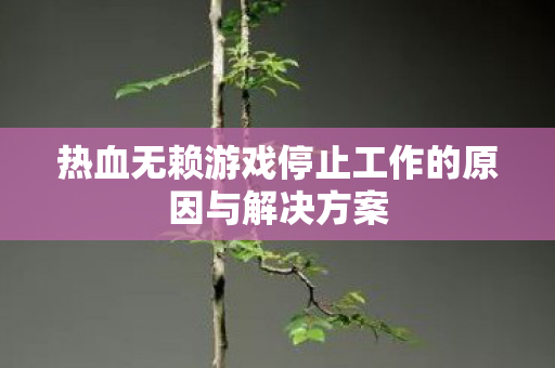 热血无赖游戏停止工作的原因与解决方案图片