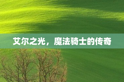 魔法骑士的传奇图片