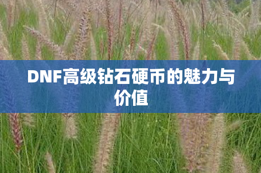 DNF高级钻石硬币的魅力与价值图片