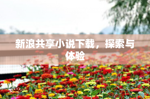 新浪共享小说下载图片