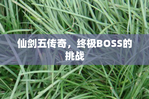 终极BOSS的挑战图片