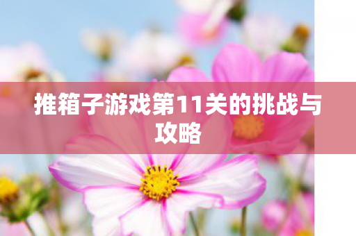 推箱子游戏第11关的挑战与攻略图片