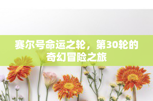 第30轮的奇幻冒险之旅图片