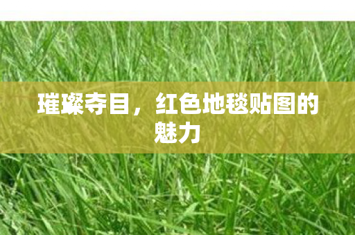 红色地毯贴图的魅力图片