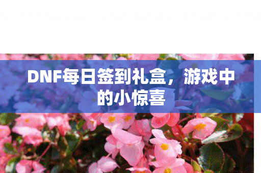 DNF每日签到礼盒图片