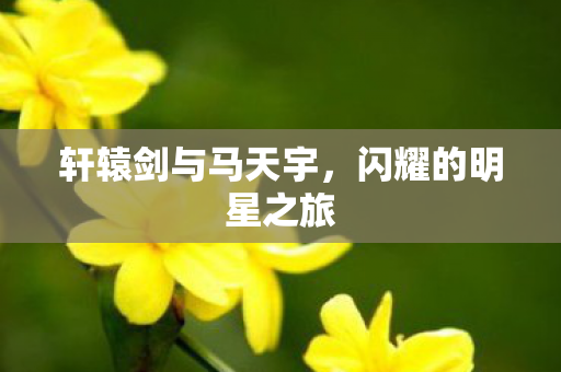 轩辕剑与马天宇图片