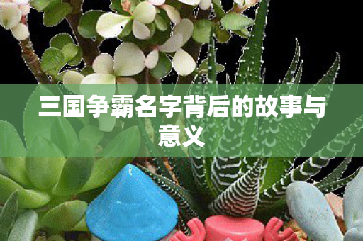 三国争霸名字背后的故事与意义图片