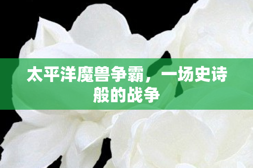 一场史诗般的战争图片