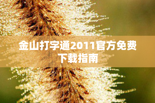 金山打字通2011官方免费下载指南图片