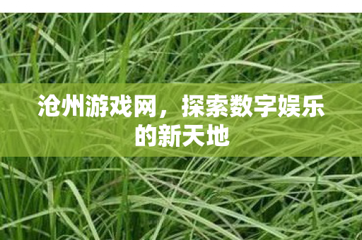 探索数字娱乐的新天地图片