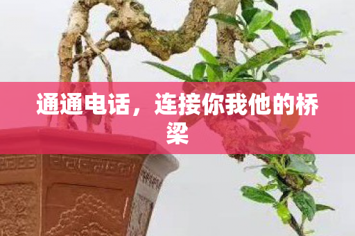 连接你我他的桥梁图片