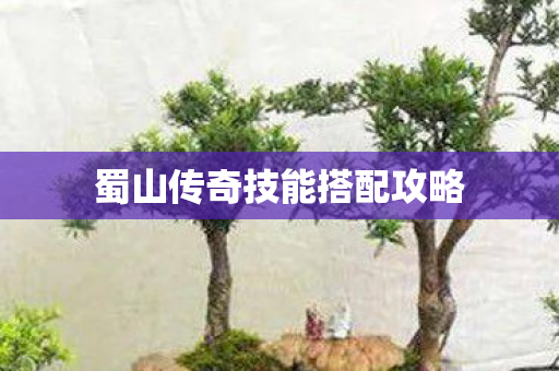 蜀山传奇技能搭配攻略图片
