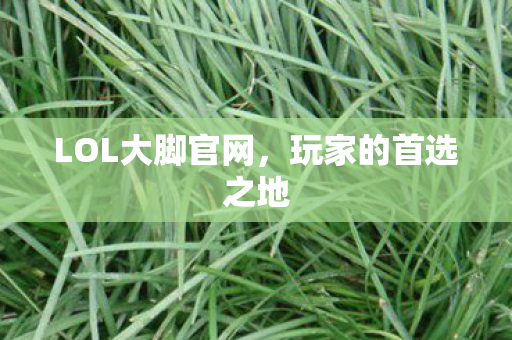 LOL大脚官网图片