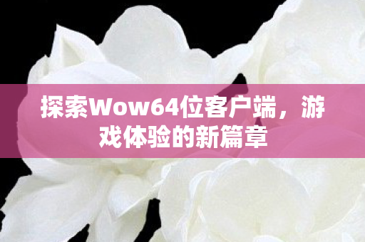 探索Wow64位客户端图片