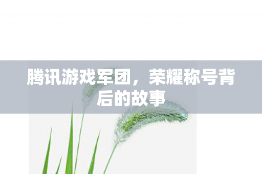 荣耀称号背后的故事图片