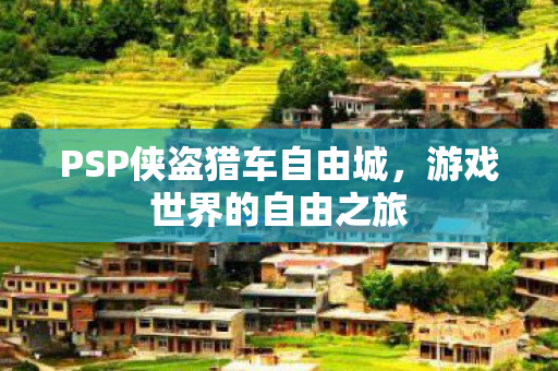 PSP侠盗猎车自由城图片