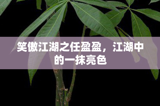 笑傲江湖之任盈盈图片