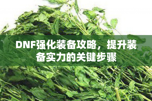 提升装备实力的关键步骤图片