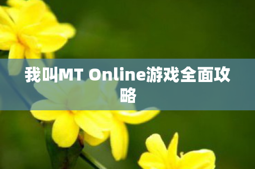 我叫MT Online游戏全面攻略图片