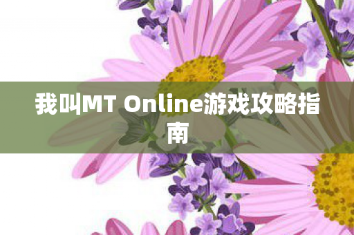 我叫MT Online游戏攻略指南图片