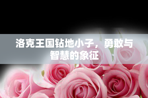 洛克王国钻地小子图片