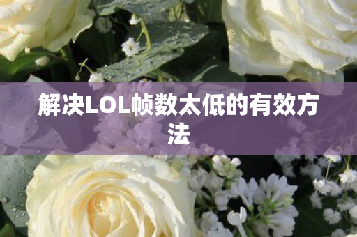 解决LOL帧数太低的有效方法图片