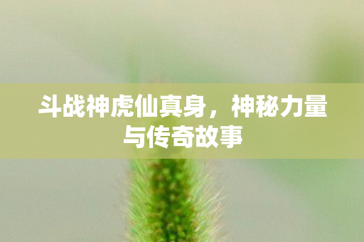 神秘力量与传奇故事图片
