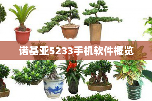 诺基亚5233手机软件概览图片