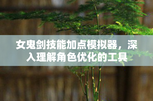 深入理解角色优化的工具图片