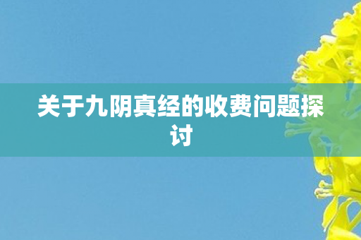 关于九阴真经的收费问题探讨图片