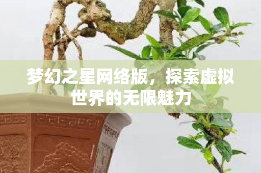 探索虚拟世界的无限魅力图片