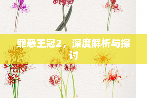 深度解析与探讨图片