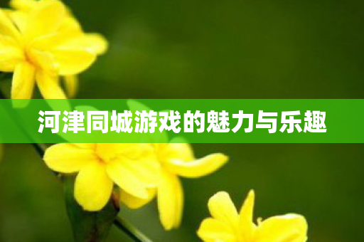 河津同城游戏的魅力与乐趣图片