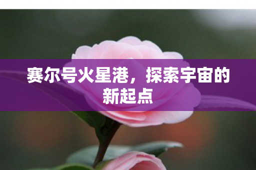 探索宇宙的新起点图片