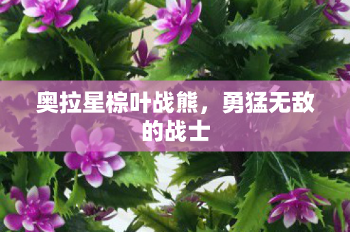 奥拉星棕叶战熊图片