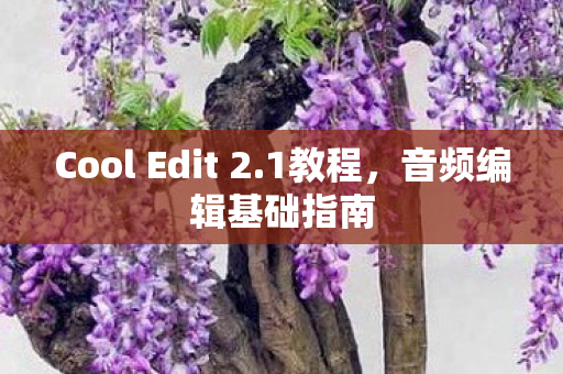 Cool Edit 2图片