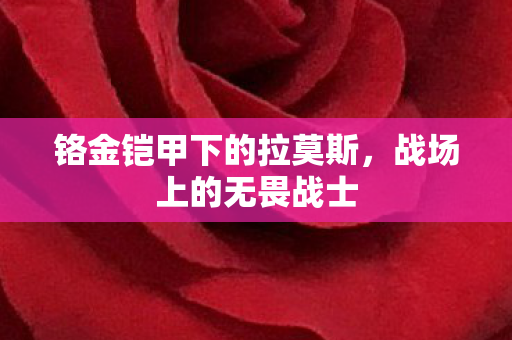 铬金铠甲下的拉莫斯图片