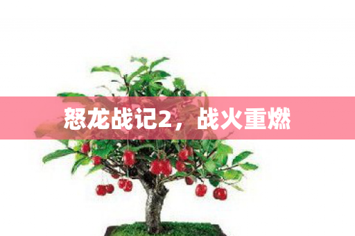 怒龙战记2图片
