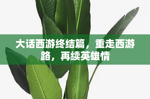 大话西游终结篇图片